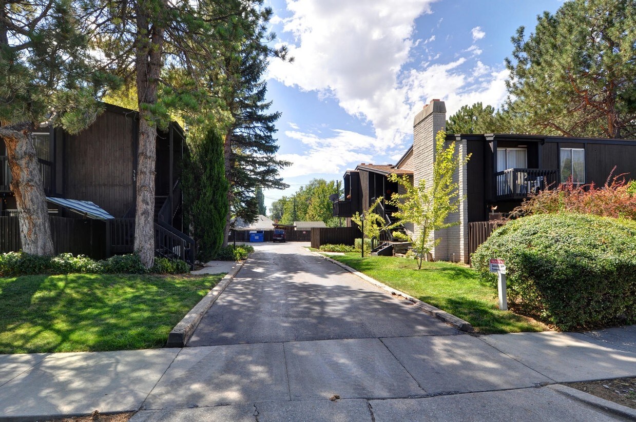 Primary Photo - Third and Ramona Apartments