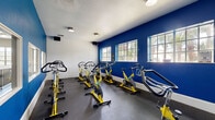 Located at 5009 Park Central Dr in Orlando, FL, this dedicated spin studio is a purpose-built cycling room designed to deliver an energizing workout experience. The space is immediately defined by its bold, deep-blue accent walls, which create a motivating and high-energy atmosphere, complemented by crisp white upper walls and ceiling.

The studio is outfitted with a full lineup of yellow-and-black stationary spin bikes arranged in orderly rows, providing ample room for group cycling sessions. The dark rubber flooring is both durable and functional, offering the grip and impact absorption essential for an active fitness environment. Wall-mounted fans ensure proper air circulation throughout the room during intense workouts.

Natural light filters in through a row of large multi-pane windows along the blue accent wall, offering views of lush tropical palm trees outside — a nod to the Florida surroundings. Interior windows on an adjacent wall provide a visual connection to a neighboring fitness area, adding a sense of openness to the compact space.

Overhead flush-mount lighting supplements the natural light, ensuring the room remains well-lit at all times. A wall-mounted display screen and audio equipment further support an immersive group class experience. This well-appointed spin studio combines practical fitness design with a vibrant aesthetic, making it an inviting space for cycling enthusiasts.