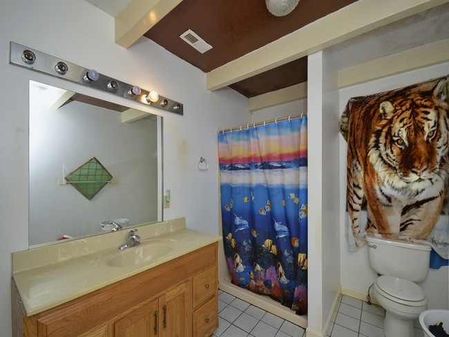 Foto del edificio - 953 Jonathan Creek Rd