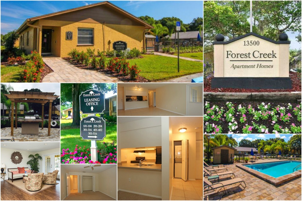 Oasis At Bayside East Apartments Largo Fl Apartments Com