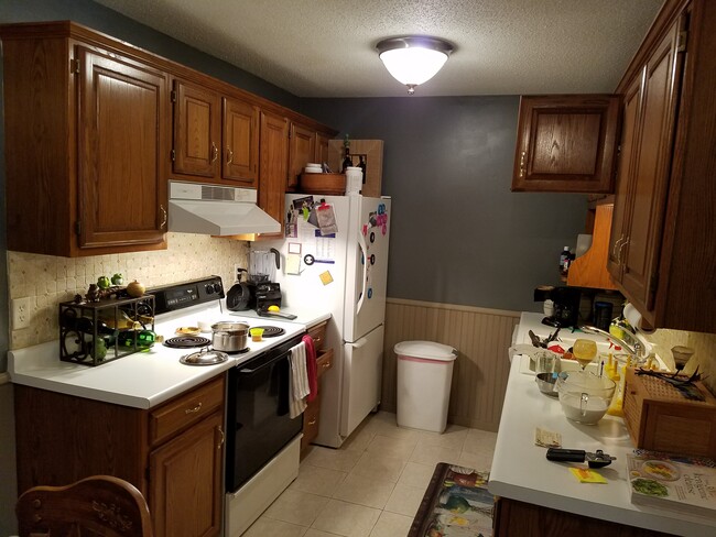 Kitchen - 135 Viking Dr E