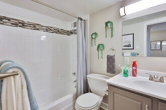 ReNew Mt. Vernon photo'