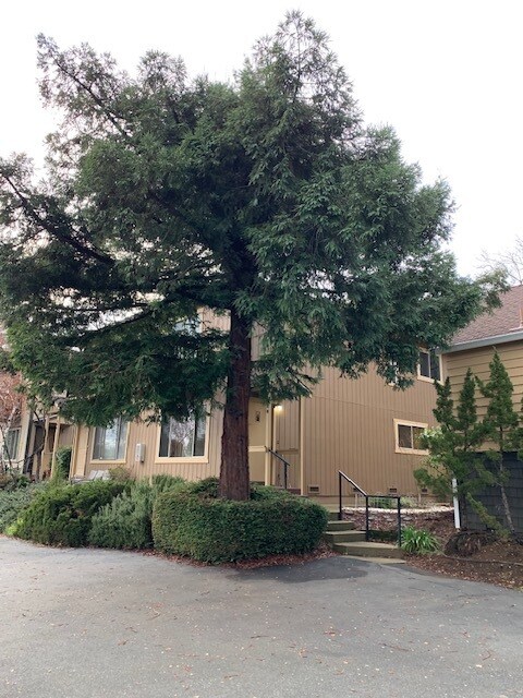 Foto del edificio - 163 Lincoln Way