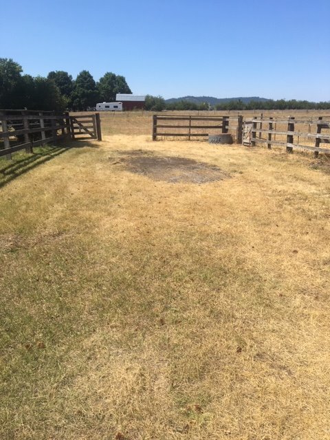 Foto del edificio - SINGLE FAMILY HOME HORSE PROPERTY ON PRAIRIE AVENUE (APP#106)