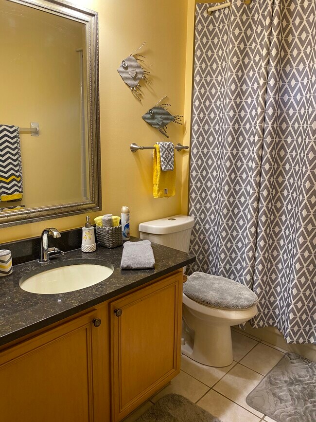 Baño privado - 270 Suncrest Ct