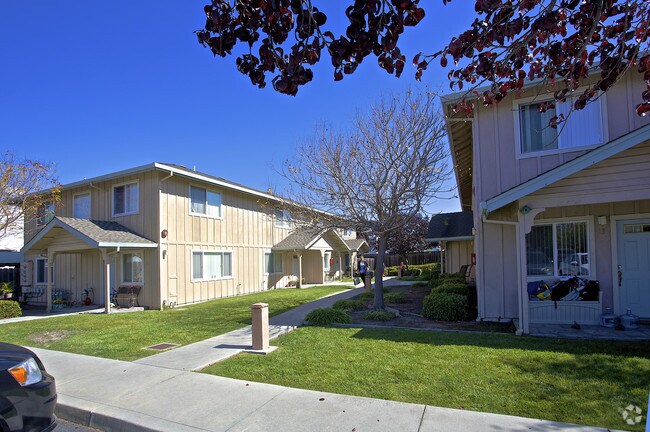 Foto del edificio - Sunshine Village Apartments