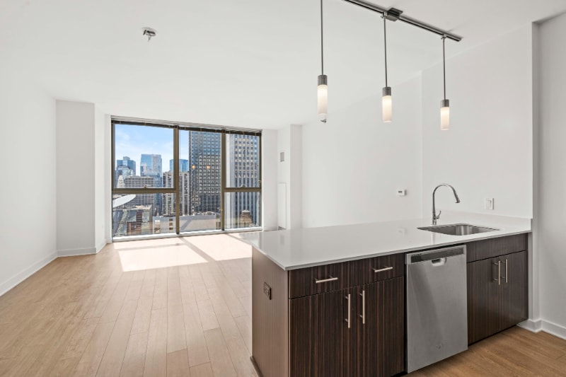 Photo - 190 N Garland Ct (Chicago, IL)