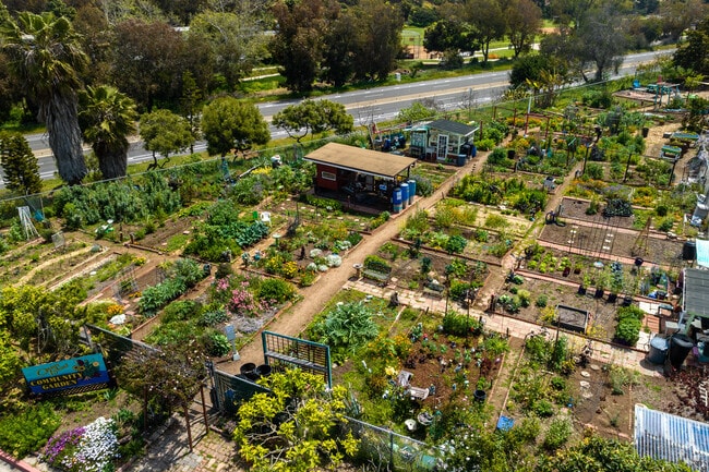 Ocean Beach Neighborhood Garden On the Edge of Point Loma Heights