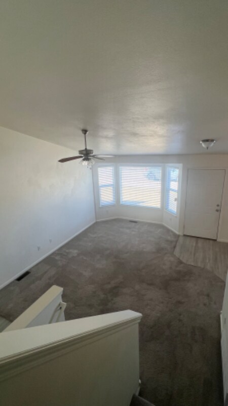 Foto del edificio - 4012 Grapevine Ln