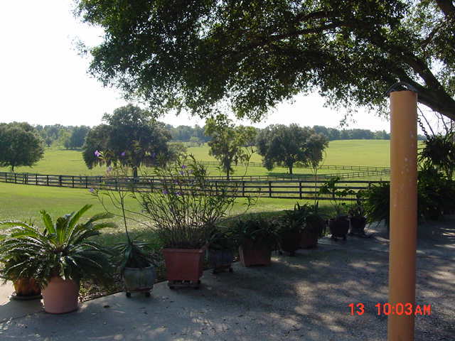 Pasture view - 5212 Bertsville Rd