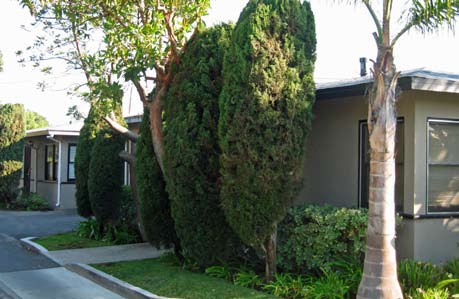 Building Photo - Lido Apartment Homes
