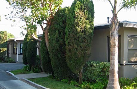 Foto del edificio - Lido Apartment Homes