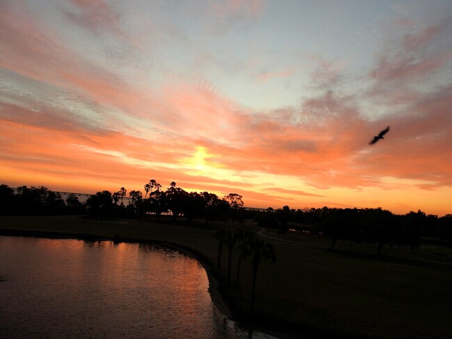 Foto del edificio - 2620 Cove Cay Dr