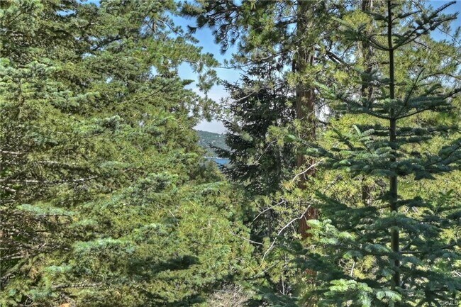Foto del edificio - Treehouse-like atmosphere with peek-a-boo views of Lake Arrowhead