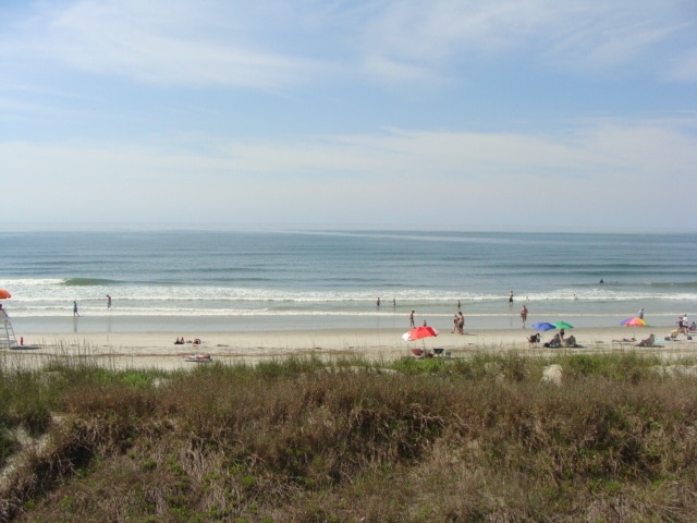 Building Photo - Oceanfront Pet-friendly Winter Rental! Available Now through April 30, 2026.