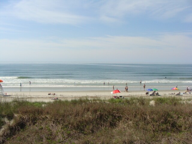 Foto del edificio - Oceanfront Pet-friendly Winter Rental! Available Now through April 30, 2026.