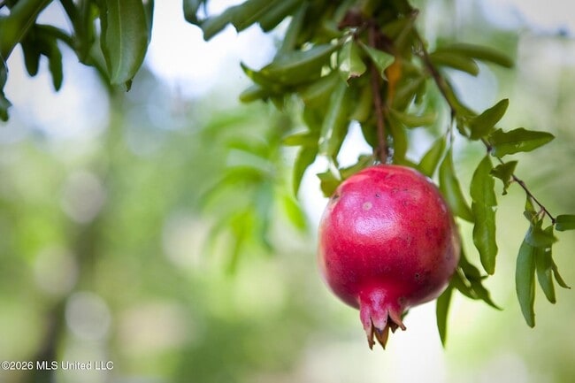 Building Photo - 926 Carlisle St