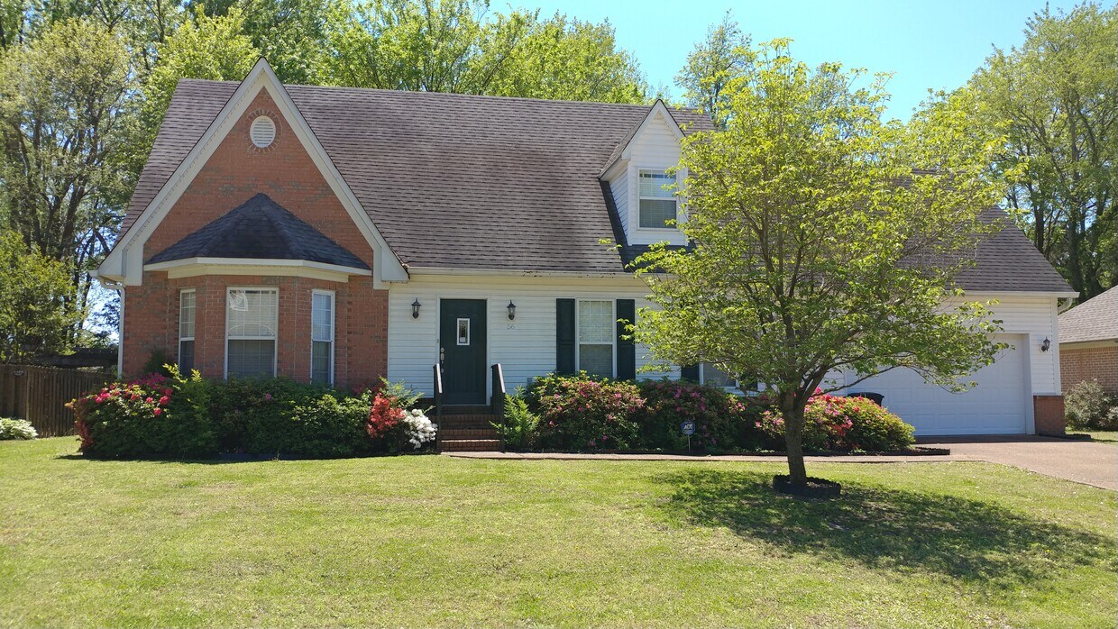 56 Braddock Pl, Jackson, TN 38305 House Rental in Jackson, TN