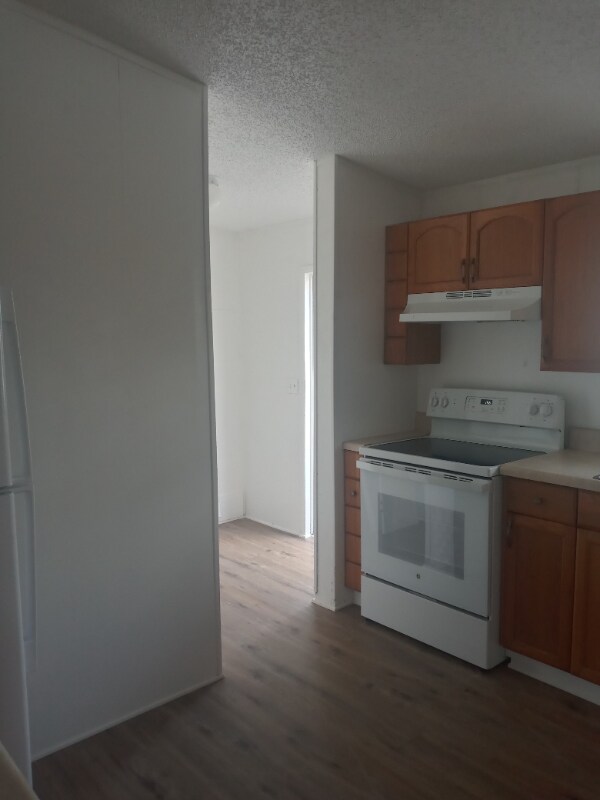 1006 W Maxanna Blvd, Sebring, FL 33875 House Rental in Sebring, FL