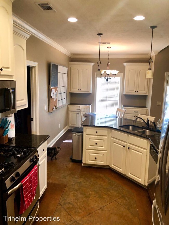 Foto del edificio - 4 br, 2 bath House - 790 Castlewoods Blvd