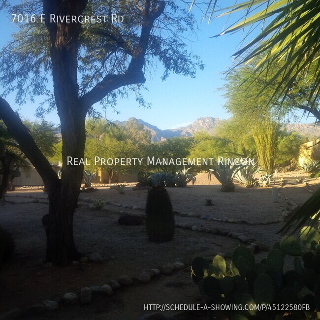 Amazing 3bed/2bath with views East Tucson - 4