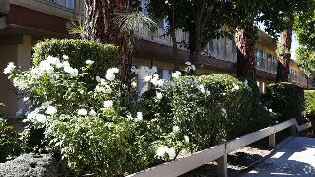 Foto del edificio - Southwest Pointe Apartments