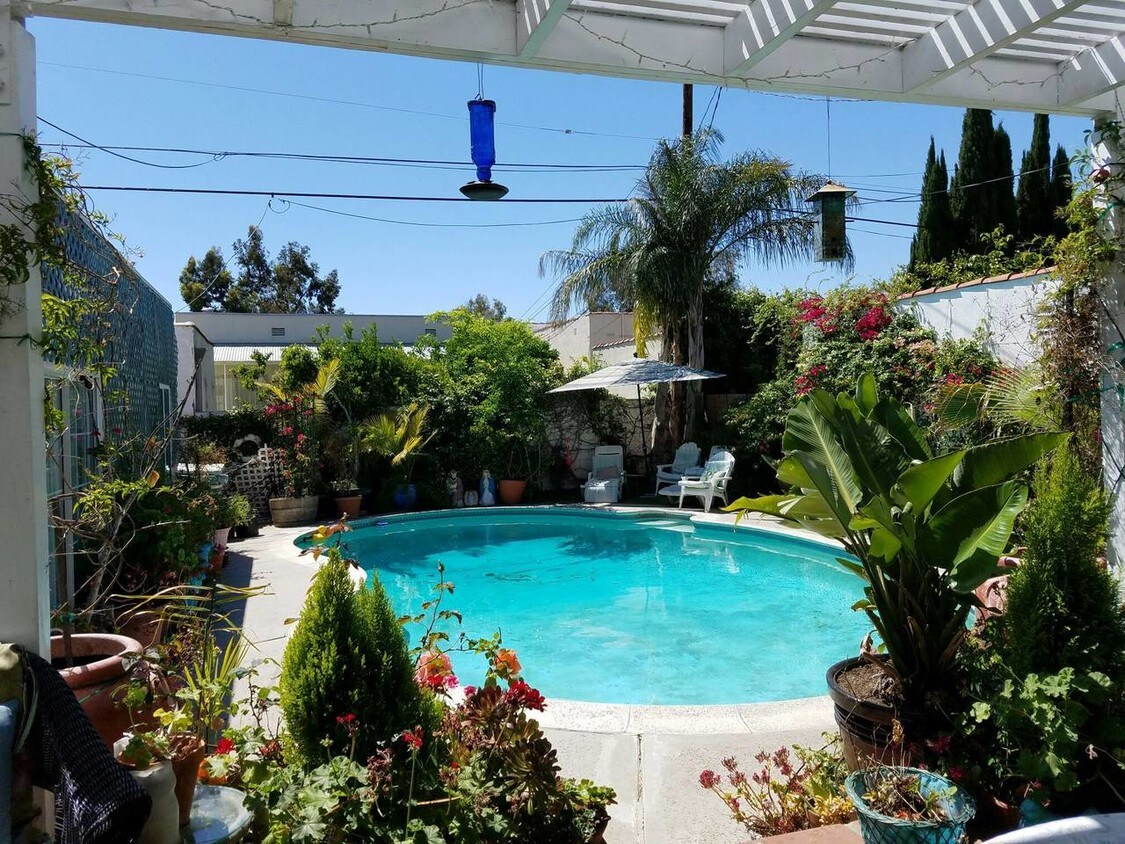 Pool area - 223 S Carson Rd