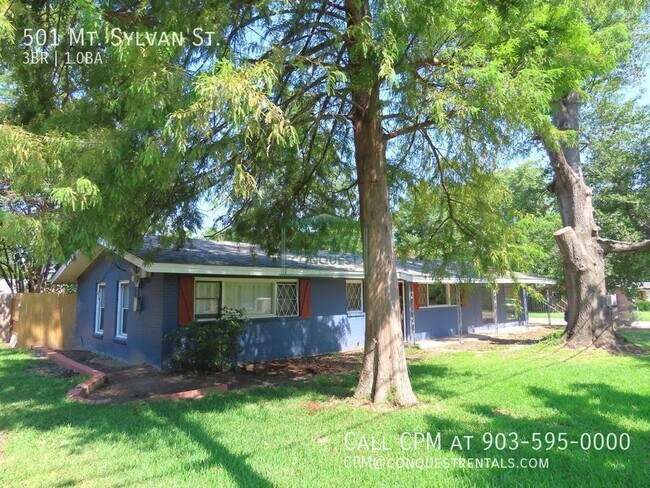 Foto del edificio - 501 Mt Sylvan St