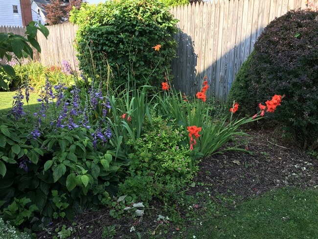 Gardens - 415 Linden St