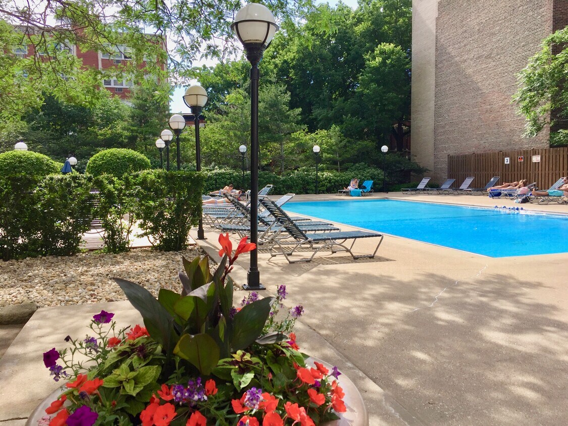 2020 N Lincoln Park W Unit 19 B, Chicago, IL 60614 Condo for Rent in Chicago, IL