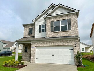 Building Photo - 206 Summerlin Dr