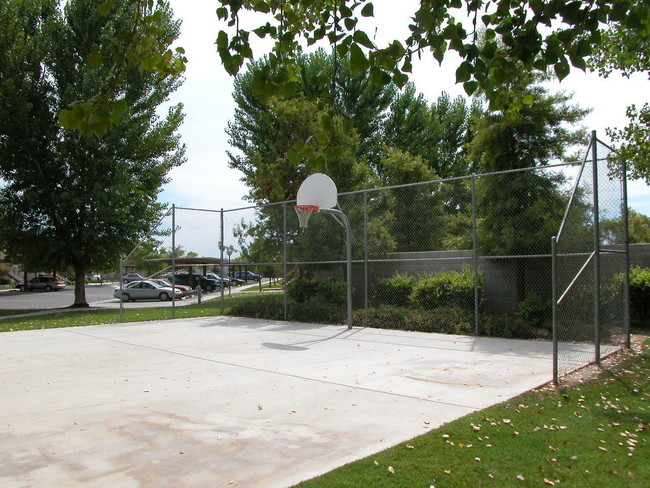 Cancha de básquetbol - Westberry Square Apartments