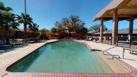 This amenity space features two primary areas designed to support both relaxation and active lifestyles. The outdoor pool area is generously sized, with a clean, rectangular pool framed by brick coping and a spacious surrounding deck. Lounge chairs and red market umbrellas line the perimeter, providing shaded seating for sunbathing and socializing. Mature palm trees and large oak trees create a lush, natural backdrop, while an iron perimeter fence encloses the space for added privacy and security. The open sky above ensures abundant natural light throughout the day.

Adjacent to the pool, the fitness center is a well-appointed, light-filled space designed to accommodate a full range of workout routines. Floor-to-ceiling mirrors line the walls, enhancing the sense of space and allowing users to monitor their form. Equipment includes multiple treadmills, elliptical machines, cable and weight machines, a full dumbbell rack, medicine balls, and adjustable benches. Warm wood-toned flooring, recessed lighting, and a ceiling fan contribute to a comfortable workout environment. A wall-mounted television, open shelving with rolled towels and decorative greenery, and direct sliding glass door access to the pool area complete the space, seamlessly connecting indoor fitness with outdoor recreation.