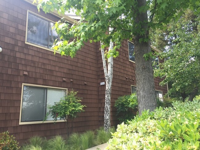 Building Photo - 602 Fig Tree Ln