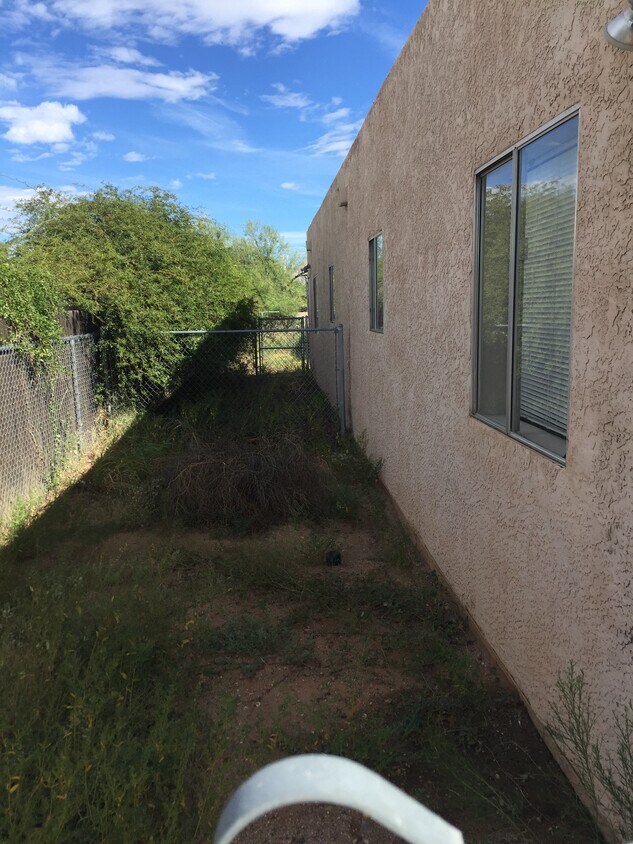 Small fenced back yard. - 1253 East Halcyon Road