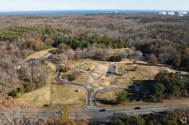 Calvert Cliffs State Park is a great place to go on a hike.