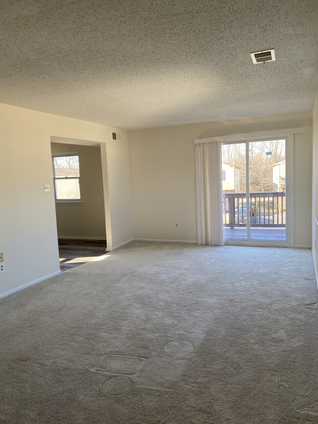 Living room - 404 Corinthian Ave