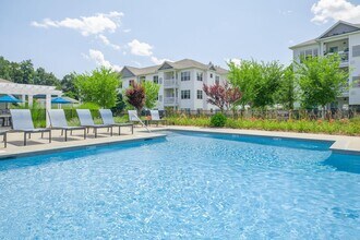 Building Photo - The Pointe at Dorset Crossing