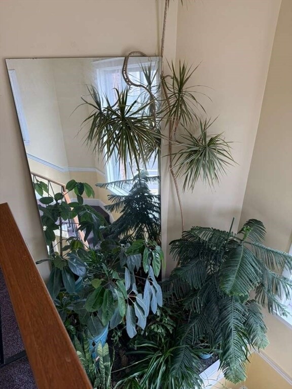 Building Photo - 16-18-18 Walk Hill St