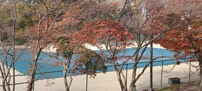 Foto del edificio - 2311 Pimmit Dr