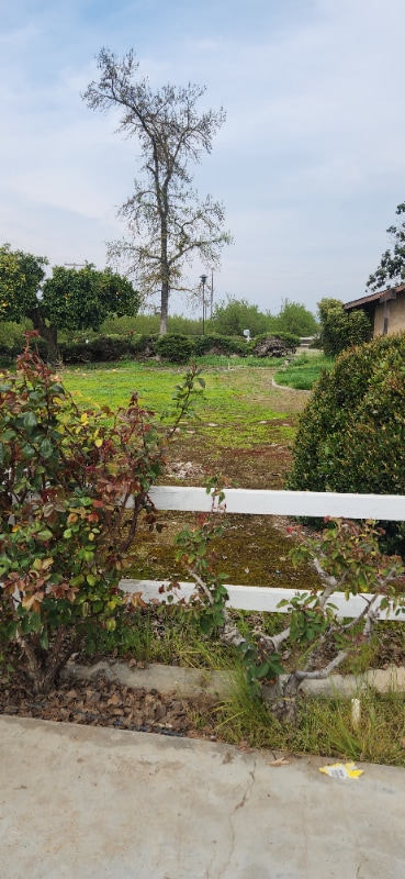 Foto del edificio - 9905 Ave 404