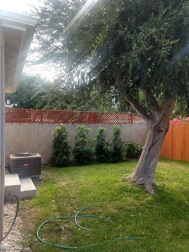 backyard - 11557 Braddock Dr