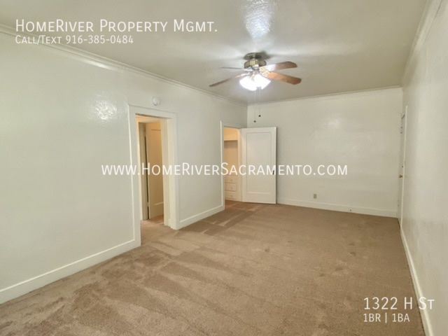 Building Photo - New Carpet! Fresh Paint! Natural Light!
