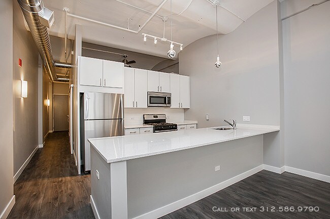 Library Lofts Apt 108 South Loop Apartment For Rent In