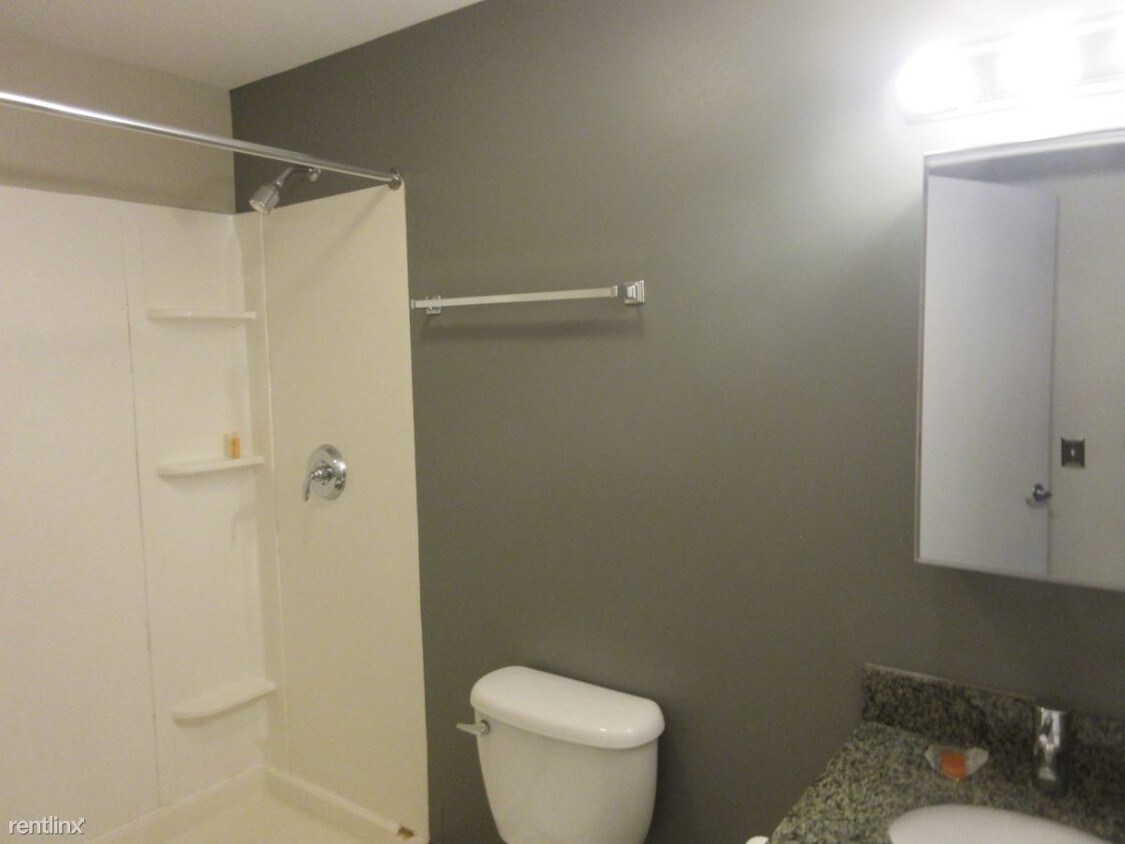 Studio, 1 bath - 55 E Washington St Apt 1518 - Studio, 1 bath  - 55 E Washington St Apt 1518
