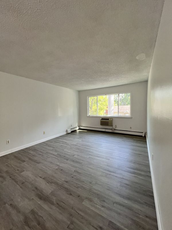 Foto del edificio - 255 Elmwood Ave