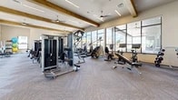 Located at 5300 Las Soleras Dr in Santa Fe, NM, this single-floor fitness center offers a generously sized, well-appointed exercise space designed to support a full range of workout routines. The room's architectural character is defined by soaring ceilings adorned with exposed wooden beams and crisp white walls, lending a bright, open feel that is both functional and aesthetically inviting.

Natural light pours in through large floor-to-ceiling windows along multiple walls, providing views of the surrounding community and creating an energizing atmosphere throughout the day. Ceiling fans are positioned throughout to maintain comfortable airflow. The flooring consists of patterned, herringbone-style carpet tile that adds visual interest while providing cushioning underfoot.

The fitness floor is comprehensively equipped with a wide variety of cardio machines, including treadmills, ellipticals, stationary bikes, and rowing machines. Strength training is well represented with cable machines, a power rack with free weights, adjustable benches, and a dedicated free weight area. A mirrored wall section enhances the sense of space and supports form-checking during workouts. A rack of stability and medicine balls rounds out the functional fitness offerings. A mounted flat-screen TV and built-in cabinetry add to the facility's convenience. The overall environment is modern, clean, and thoughtfully designed for an effective fitness experience.