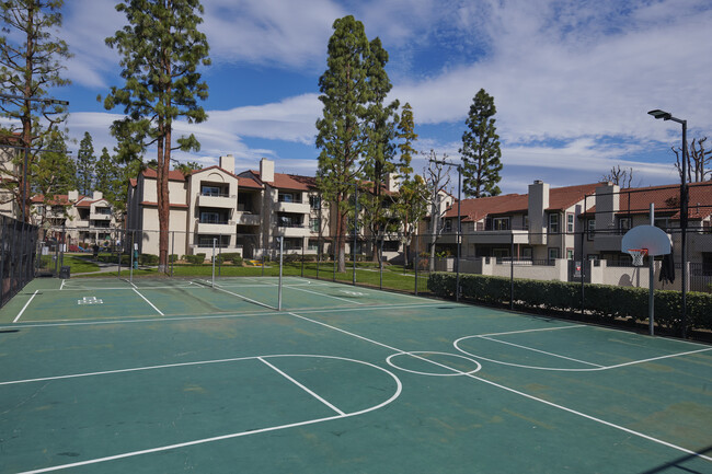 Canchas de deporte - Monterey Village