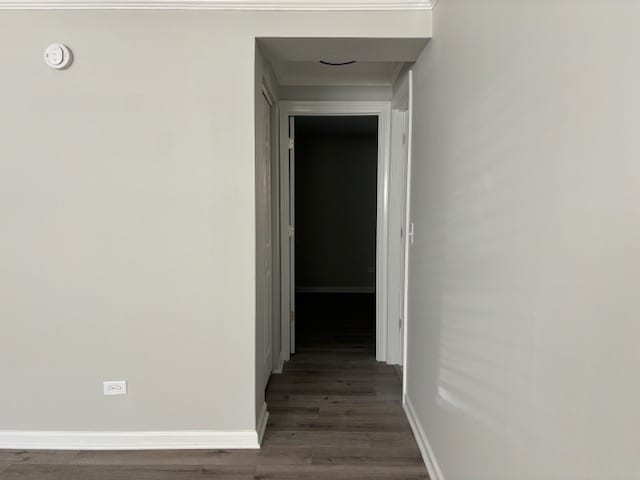 Building Photo - 503 Basil Rd