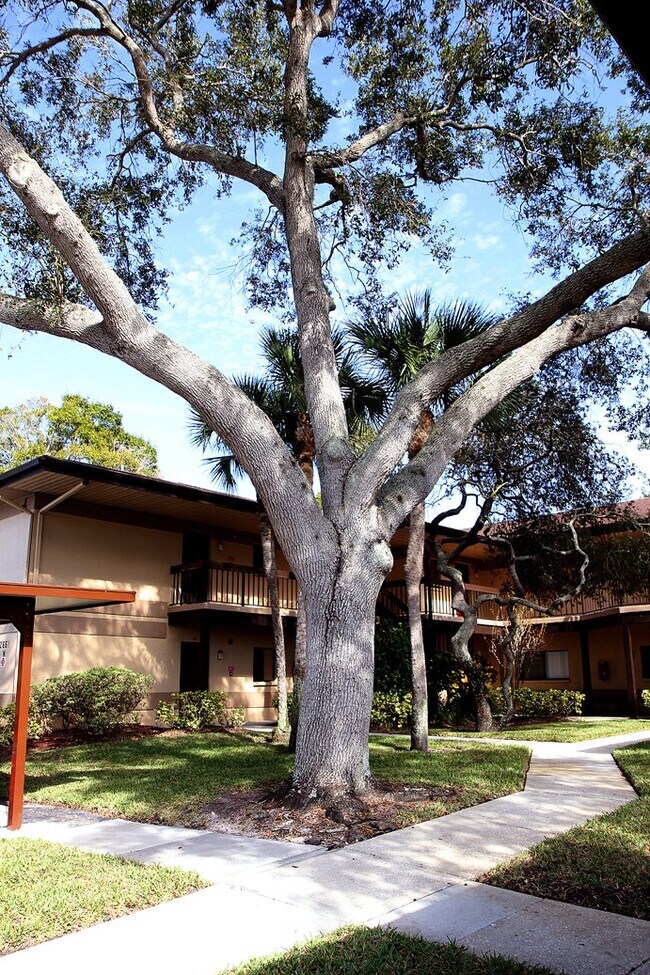 Building Photo - 2661 Sabal Springs Cir